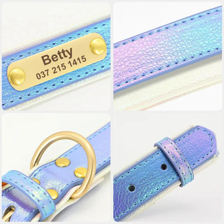 Collier Fluo Chien Personnalisé