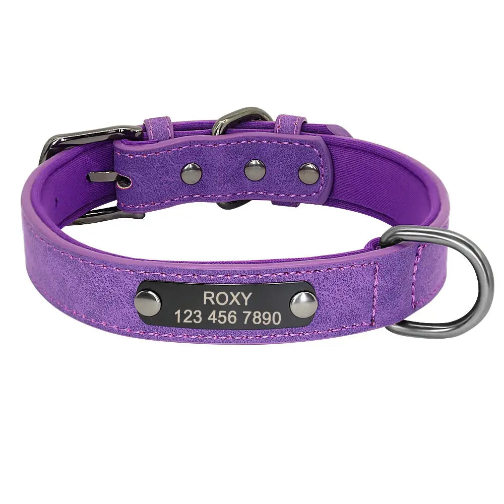 Collier Gros Chien Personnalisé Violet