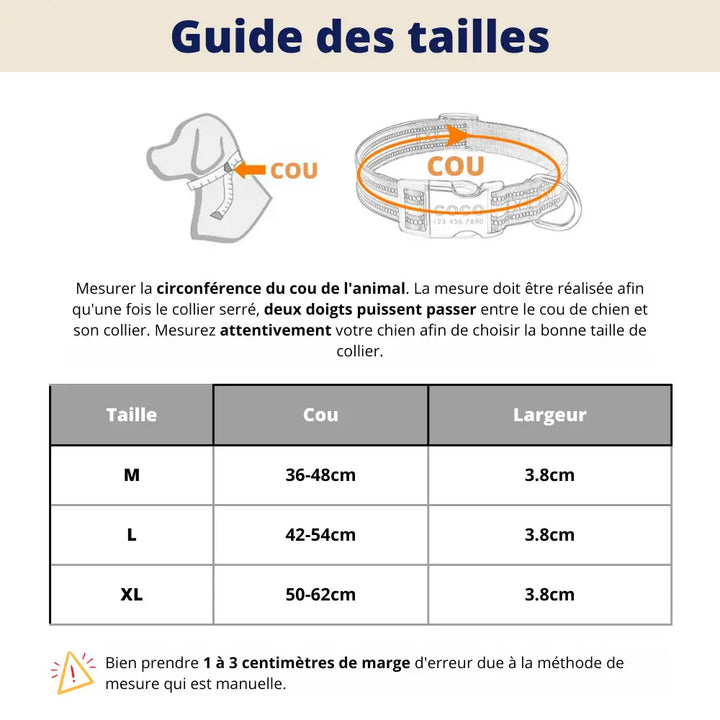 Collier Personnalisé pour Gros Chien
