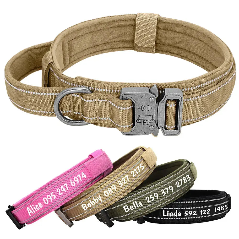 Collier Personnalisé pour Gros Chien