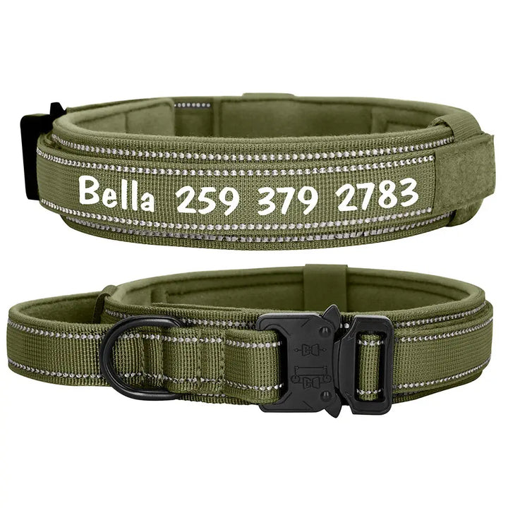 Collier Personnalisé pour Gros Chien Vert