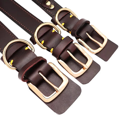 Collier pour Chien de Chasse Gravé - Collier pour Chien de Chasse Gravé