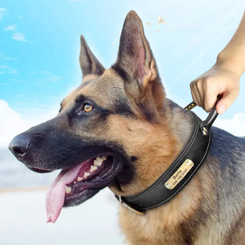 Collier pour Chien de Chasse Gravé