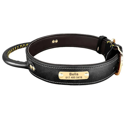 Collier pour Chien de Chasse Gravé - Noir / XL