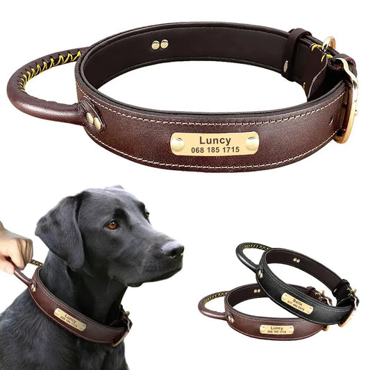 Collier pour Chien de Chasse Gravé