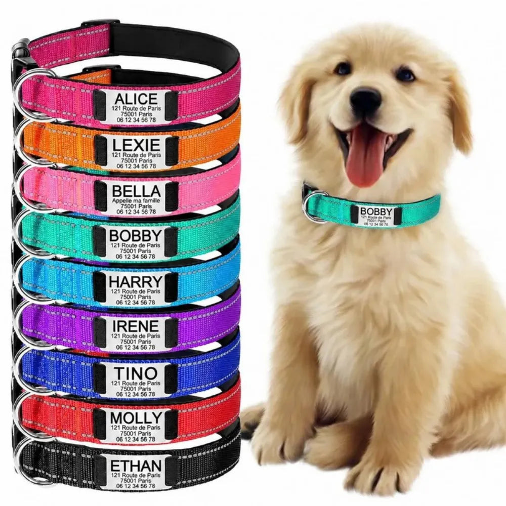 Collier pour Chien Personnalisé