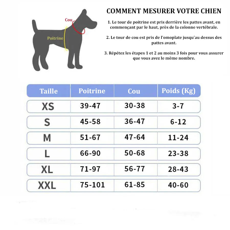 Harnais Chien Personnalisé