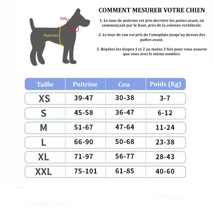 Harnais Chien Personnalisé