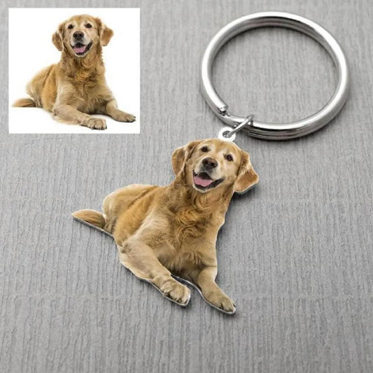 Accessoires personnalisés pour chiens et chats